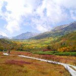 【信州 栂池高原・白馬大池】 紅葉の綺麗な山へ出かけよう！