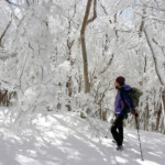 【冬山・雪山】素晴らしき雪山の世界　写真展　～雪の林間・ハイキング・人々 編～