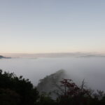 低いのに雲の上　雲海を楽しむハイキング　～備中松山城～