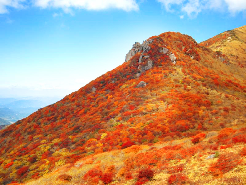 九州 九重連山 大船山 紅葉の綺麗な山へ出かけよう 好日山荘マガジン