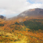 【北関東・信州 浅間外輪山 黒斑山】 紅葉の綺麗な山へ出かけよう！