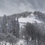 冬ならではの景色を見に ～雪山に行ってみよう Vol.1～【氷ノ山】